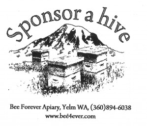 logo-sponsor-hive-with-mountain-gray-gross2