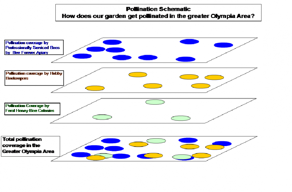 Pollination schematic showing the overlaying result of three contributing levels of pollinationf 